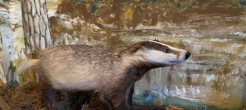 © Amt Mecklenburgische Kleinseenplatte © Amt Mecklenburgische Kleinseenplatte