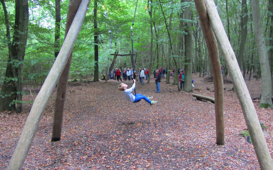 Ropeway at the forest adventure trail