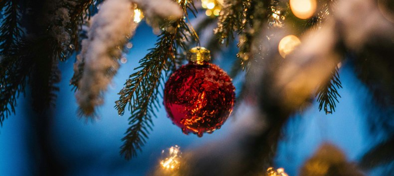 © Foto von Silas Baisch auf Unsplash © Foto von Silas Baisch auf Unsplash