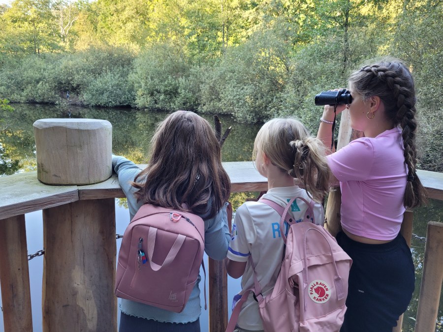 Pad naar de heide op het bosleerpad in Teterow, © Julia Gnodtke Pad naar de heide op het bosleerpad in Teterow, © Julia Gnodtke