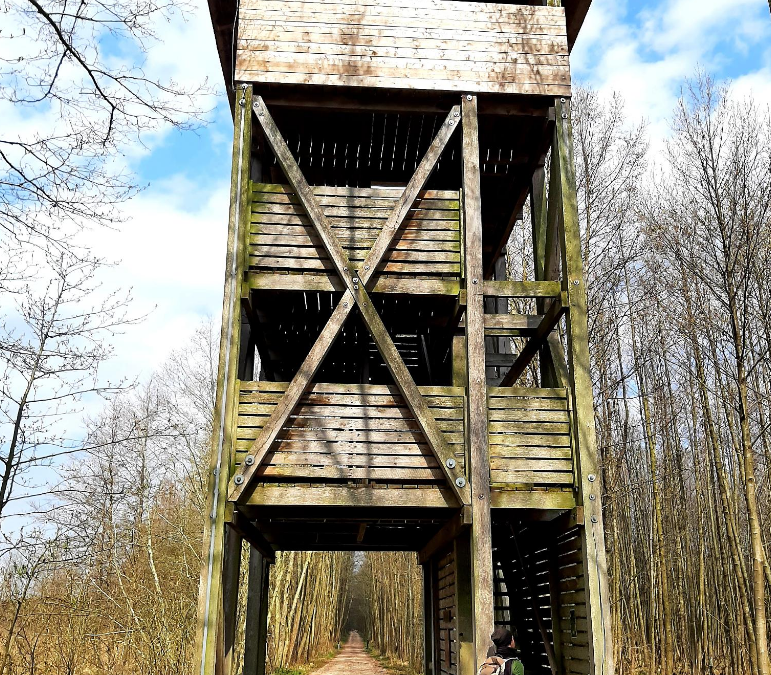 © Stadt Neustrelitz © Stadt Neustrelitz