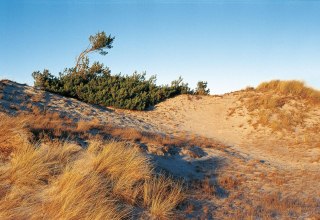 Dune landscape near Klein Schm&ouml;len // &copy; MV-T/Neumann