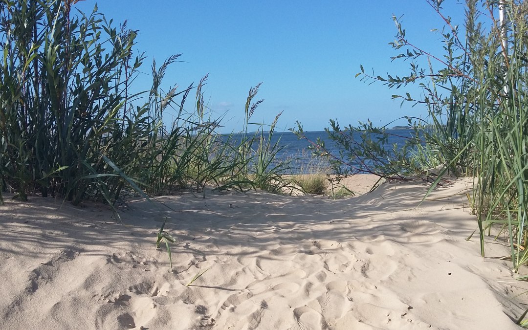 Strand in Freest, © Michael Heck