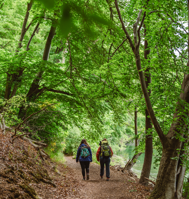 &copy; mvt-g&auml;nsicke