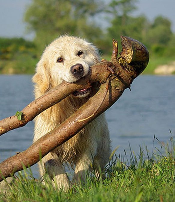 labudda5, © Foto: Labudda