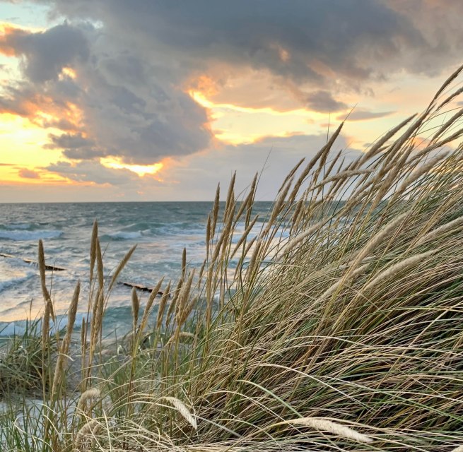 &copy; Nationalparkamt/K.B&auml;rwald