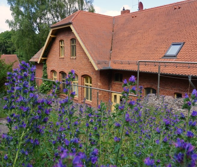 © Jugendbegegnungsstätte Golm © Jugendbegegnungsstätte Golm