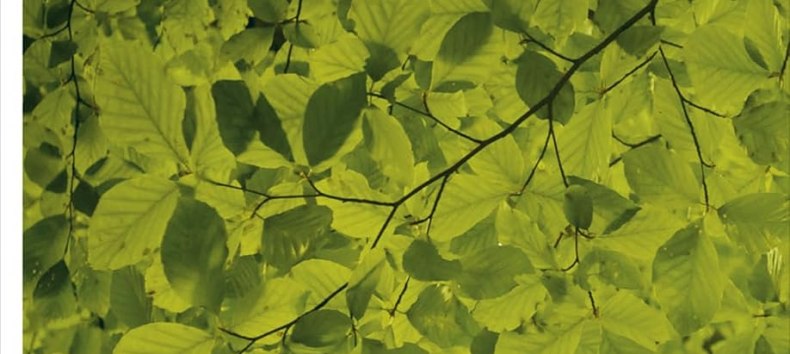 &copy; (c) Hanser Verlag