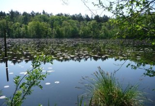 &copy; Martin Neumann