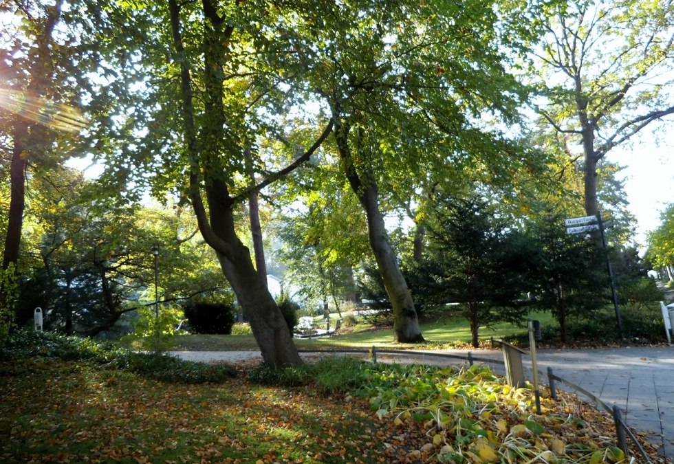 De kuurparken in de kustplaats aan de Oostzee in Binz., © Tourismuszentrale Rügen
