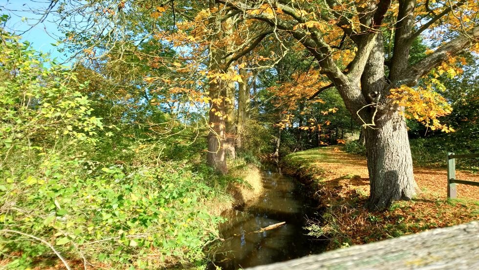 Köthelscher Bach w kierunku Stadtpark, © Jana Koch