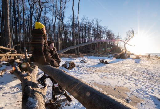 Twee mensen zitten op een omgevallen boom op het winterse strand van Torfbr&uuml;cke en staren naar de laagstaande zon boven de Baltische Zee.