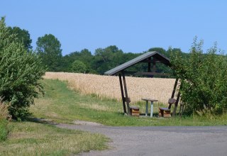Idyllically situated on a field - pure nature // &copy; Ummanz-Information/Bordych