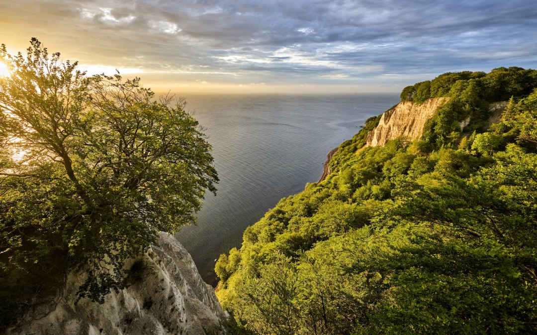 From the Skywalk Königsstuhl near Sassnitz, the view sweeps over glowing chalk cliffs and the vast Baltic Sea. Beech forest frames the bright cliffs while the light breaks through dramatic clouds - a natural spectacle on Rügen that will remain in your memory. // © Florian Trykowski From the Skywalk Königsstuhl near Sassnitz, the view sweeps over glowing chalk cliffs and the vast Baltic Sea. Beech forest frames the bright cliffs while the light breaks through dramatic clouds - a natural spectacle on Rügen that will remain in your memory. // © Florian Trykowski