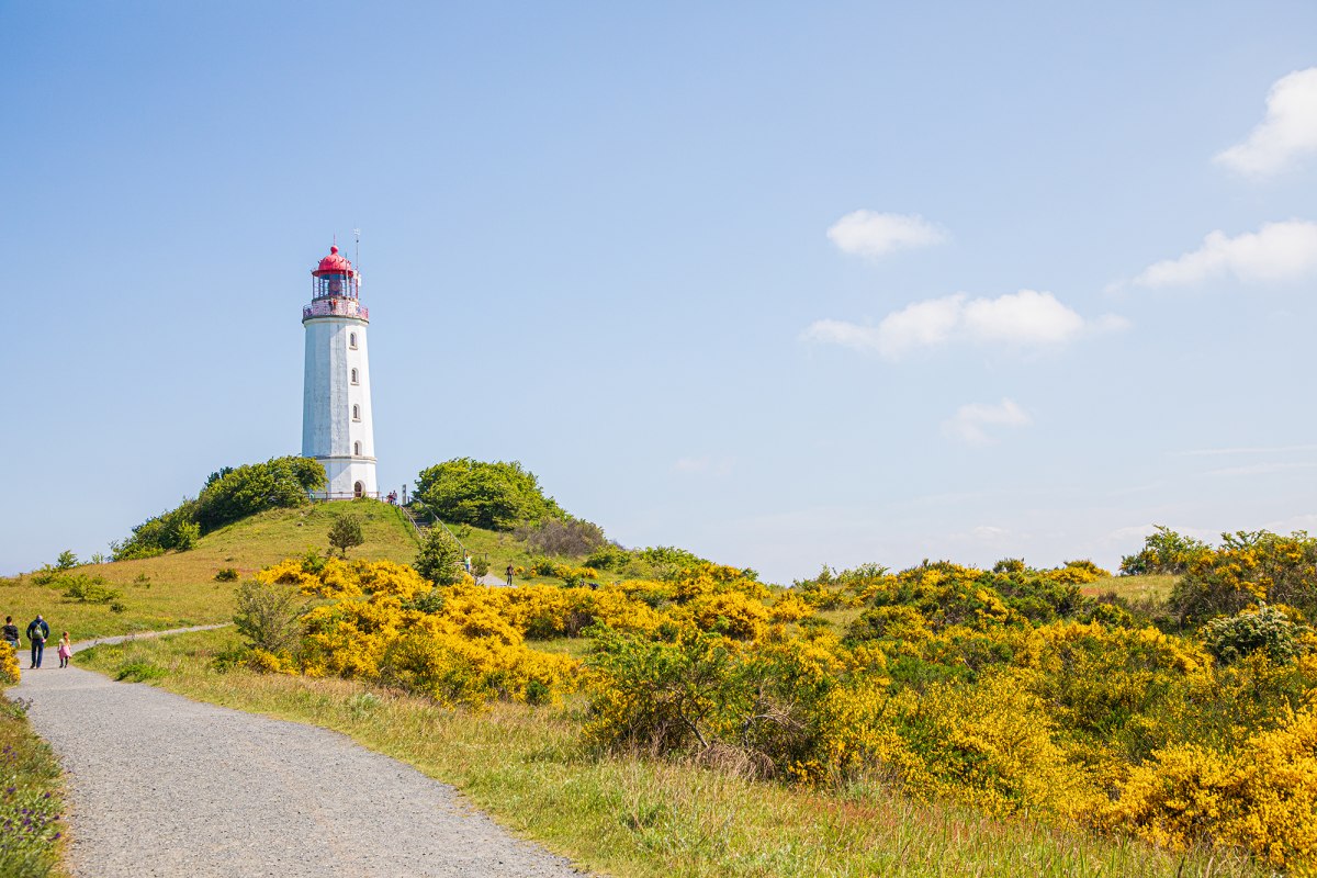 The landmark of the island of Hiddensee.
If you come to the island of Hiddensee, you simply can't miss it: the Dornbuch lighthouse! // &copy; Wei&szlig;e Flotte GmbH