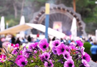 &copy; Pfingstfest2.JPG