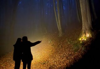 &copy; Nationalaprk-Zentrum K&Ouml;NIGSSTUHL