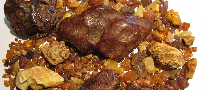 © Hartwig K. Neuwald © Hartwig K. Neuwald