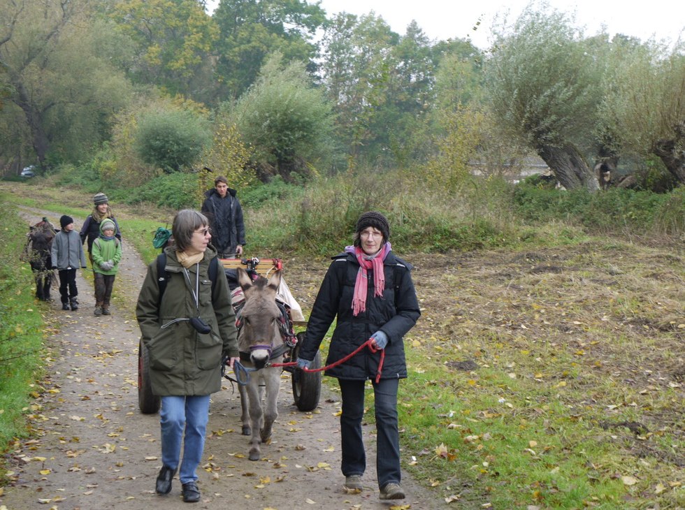 Nasze zwierzęta uwielbiają spacery, nawet zimą, © Gerhard Mersch Nasze zwierzęta uwielbiają spacery, nawet zimą, © Gerhard Mersch