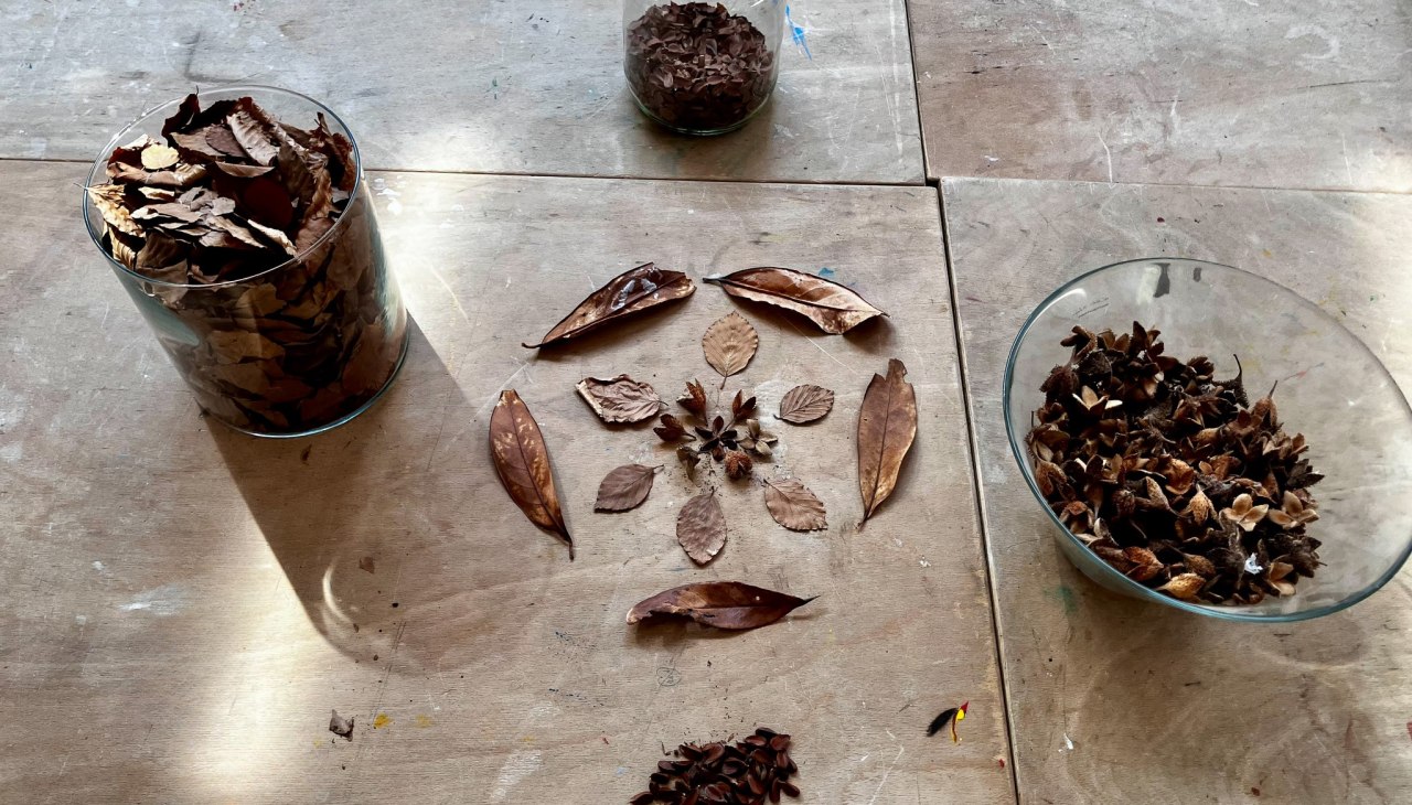 Mandala made from natural material, © Nationalpark-Zentrum KÖNIGSSTUHL
