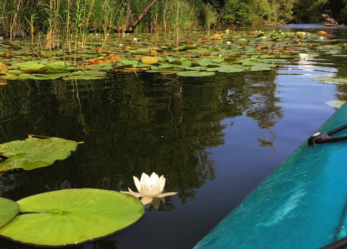 M&uuml;ritzKanu, &copy; TDG Rechlin mbH