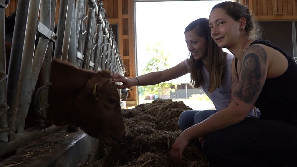 Partnership cooperation, © MVliebe