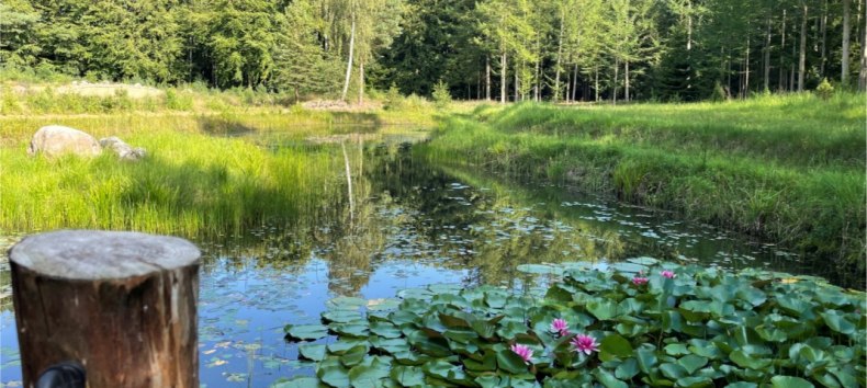 Natur im Einklang // © Südliche Boddenküste Natur im Einklang // © Südliche Boddenküste