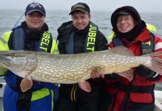 In den Boddengew&auml;ssern sind kapitale Hechte keine Seltenheit // &copy; Guido Jubelt