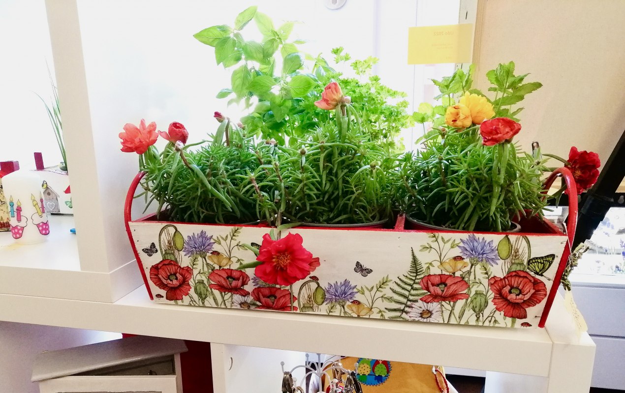 Kolorowa drewniana skrzynka na kwiaty // &copy; Ren&eacute; Perkuhn