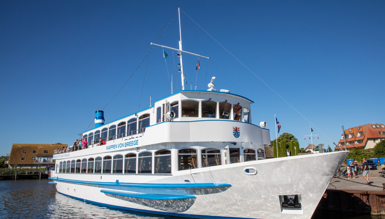 Ship-to-the-Festival-002, &copy; Wei&szlig;e Flotte