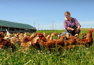 &copy; Holger Martens