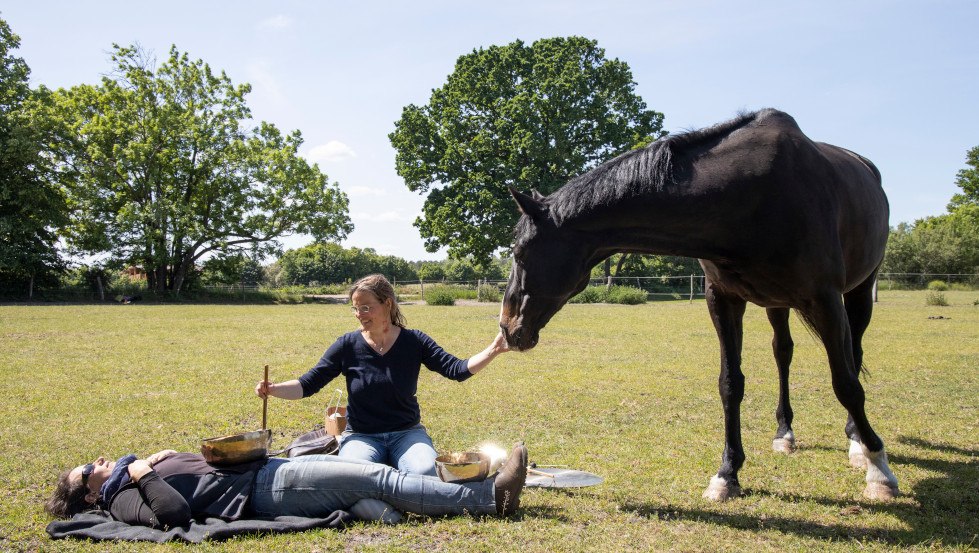 Sabine Schnabel - SOUND FOR HORSES: GOOD VIBRATIONS and HEALINGS SOUNDS voor je paard en jou..., © Anika Büssemeier