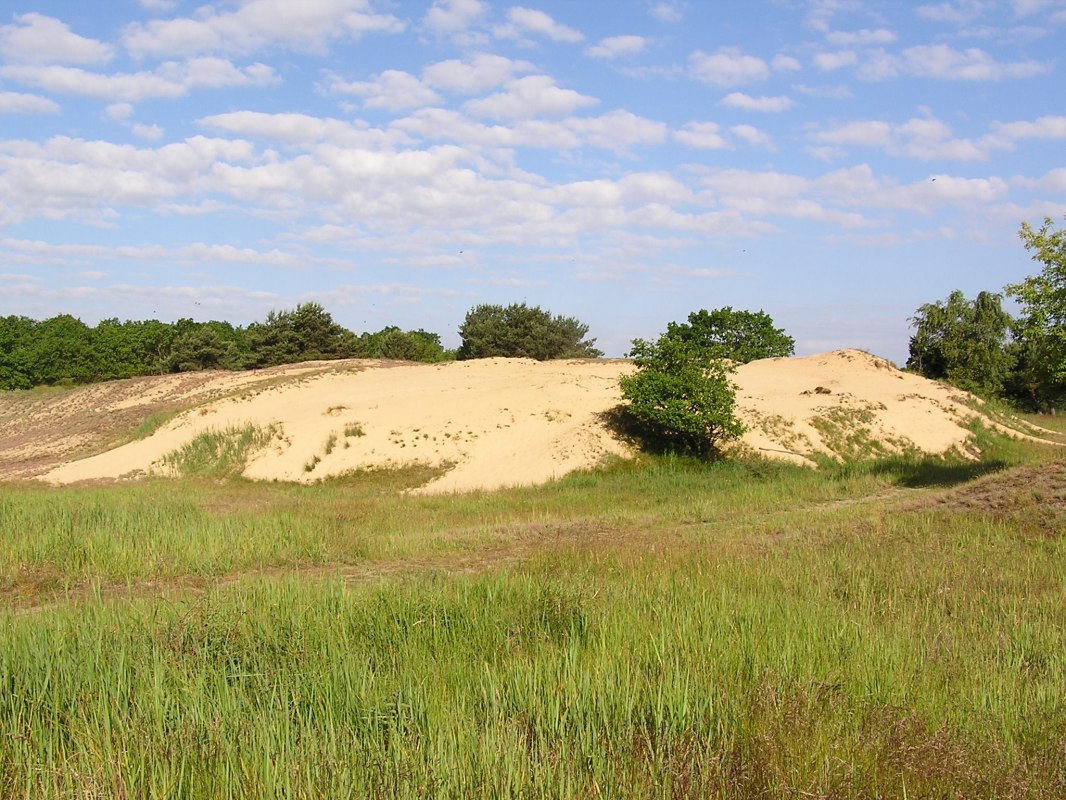 Uitzicht op de Altwarpse duinen (woestijnen) // © Jürgen Barth Uitzicht op de Altwarpse duinen (woestijnen) // © Jürgen Barth