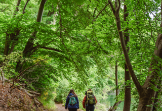 &copy; mvt-g&auml;nsicke