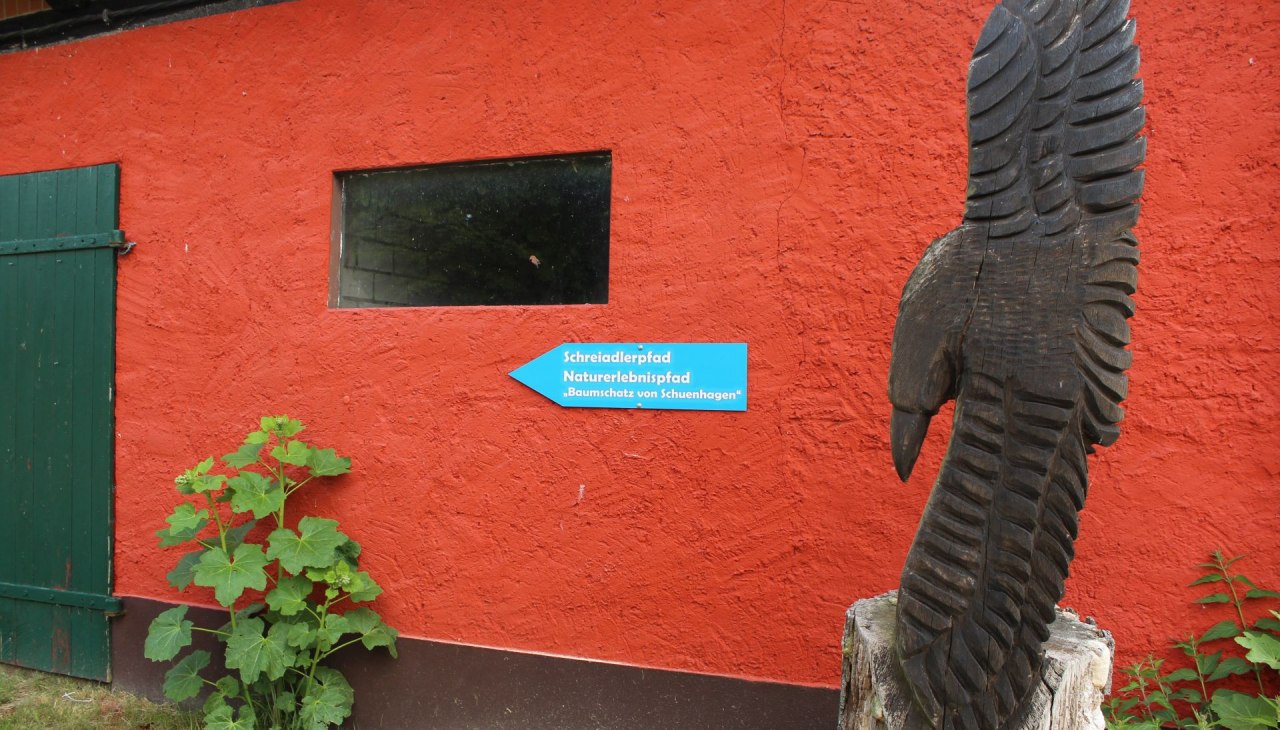 Niebieskie strzałki prowadzą do początku ścieżki dydaktycznej za leśnicz&oacute;wką, &copy; Liv E. Ipsen