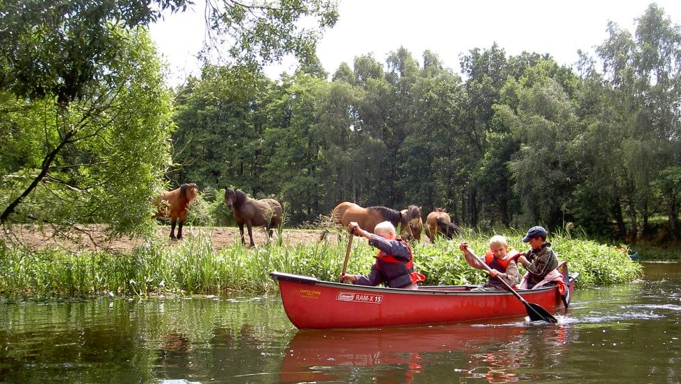 Kanoën voor kinderen - zoals hier tijdens een kanotocht over de rivier de Alte Elde // © Lewitzcamp-Garwitz/Gurtler Kanoën voor kinderen - zoals hier tijdens een kanotocht over de rivier de Alte Elde // © Lewitzcamp-Garwitz/Gurtler
