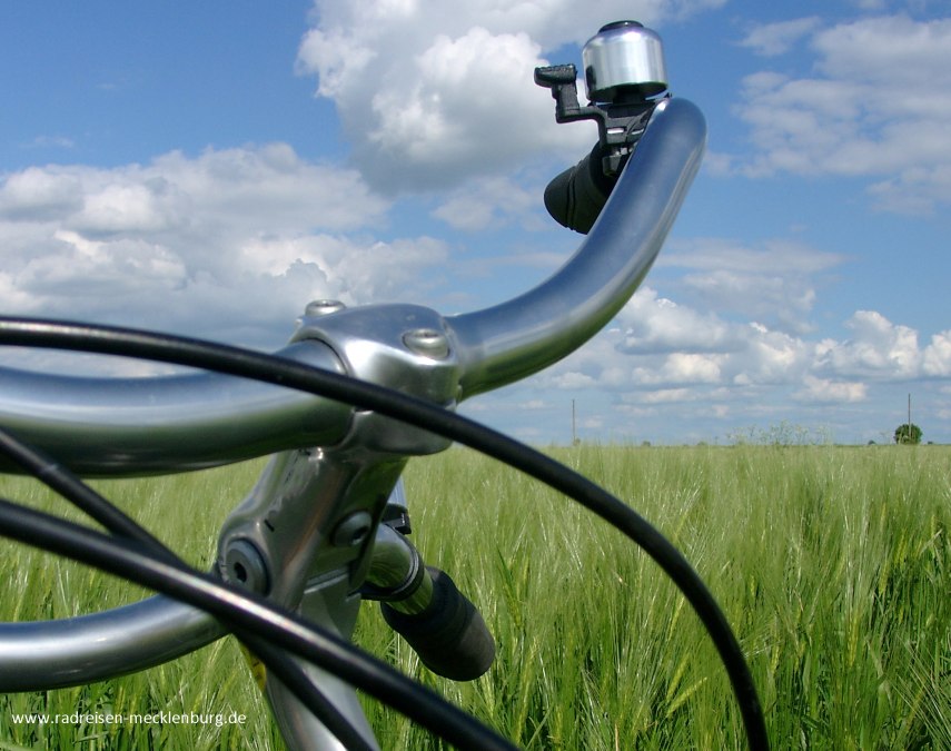 Bicycle handlebars in front of green grain., © Ralf Tetmeyer, radreisen-mecklenburg
