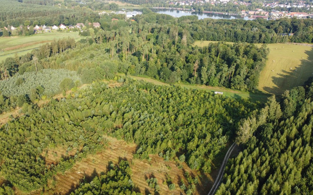 DJI_0371, © Landesforst MV
