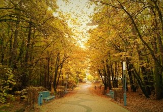 © 20161101_111039a © 20161101_111039a