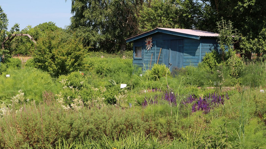 Luplow kruidenkwekerij, © Silke Voss