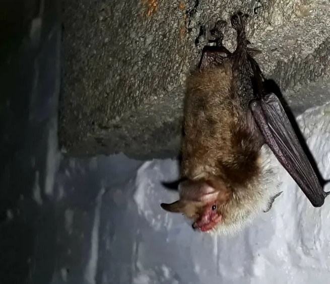 © Bjarne Riesbeck © Bjarne Riesbeck