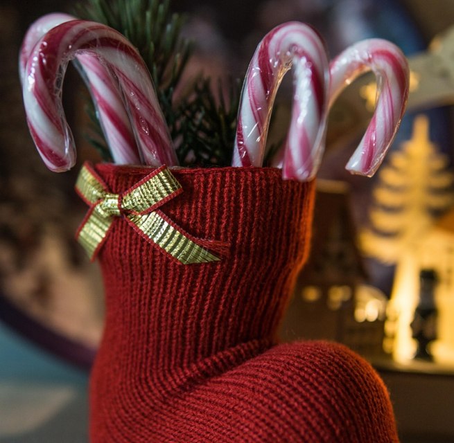 © nicholas-4662726_1280