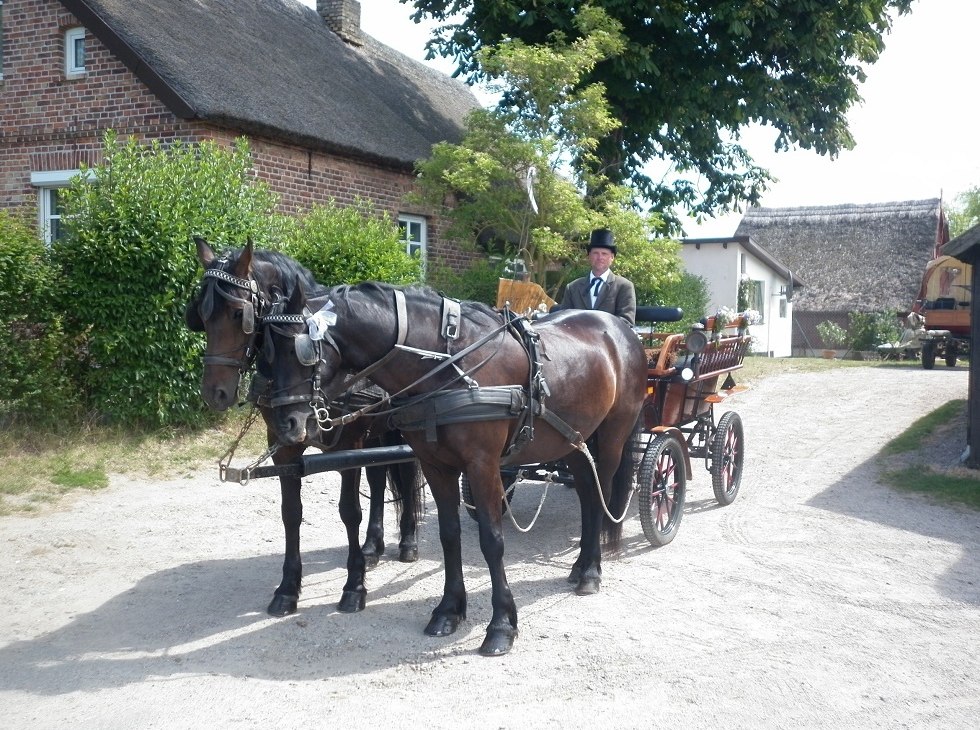 Przejażdżka bryczką to wyjątkowe przeżycie dla całej rodziny., © Juliana Völkner