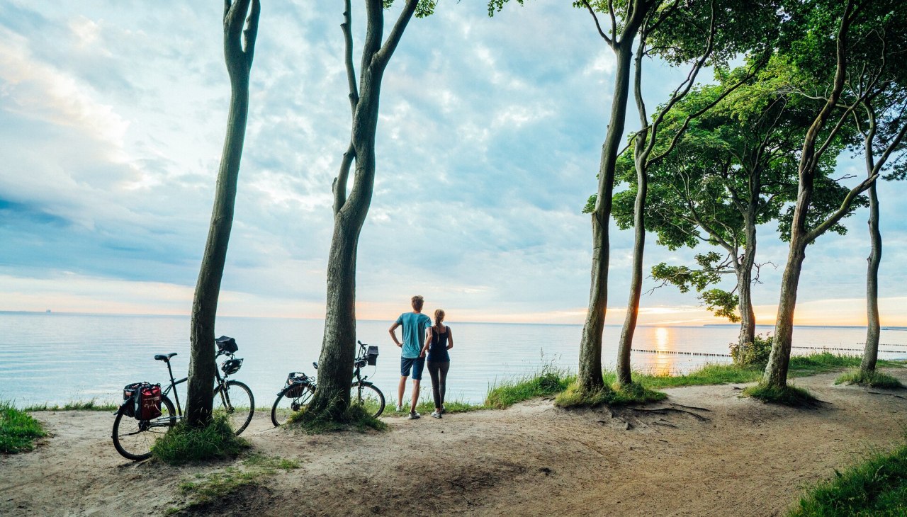 Las Duchów Nienhägen znajduje się bezpośrednio na wybrzeżu Morza Bałtyckiego, © TMV/Gänsicke Las Duchów Nienhägen znajduje się bezpośrednio na wybrzeżu Morza Bałtyckiego, © TMV/Gänsicke
