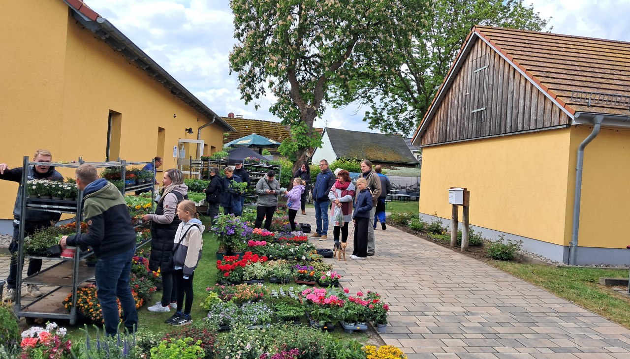 20250518_101409, © Tourismusbetrieb Mönkebude 20250518_101409, © Tourismusbetrieb Mönkebude