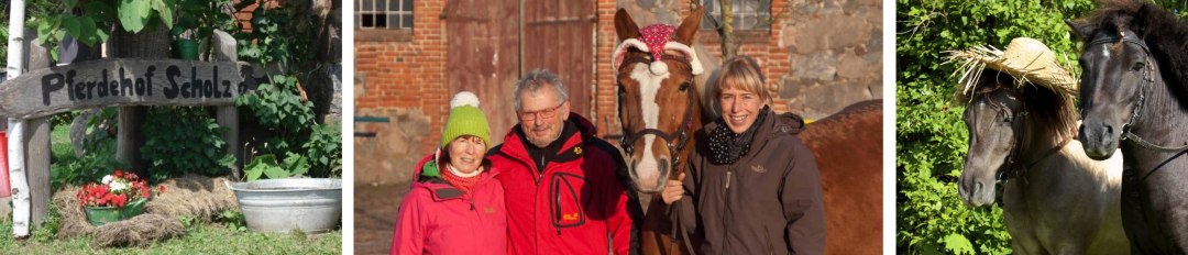 Stadnina koni Scholz, © Pferdehof Scholz Stadnina koni Scholz, © Pferdehof Scholz