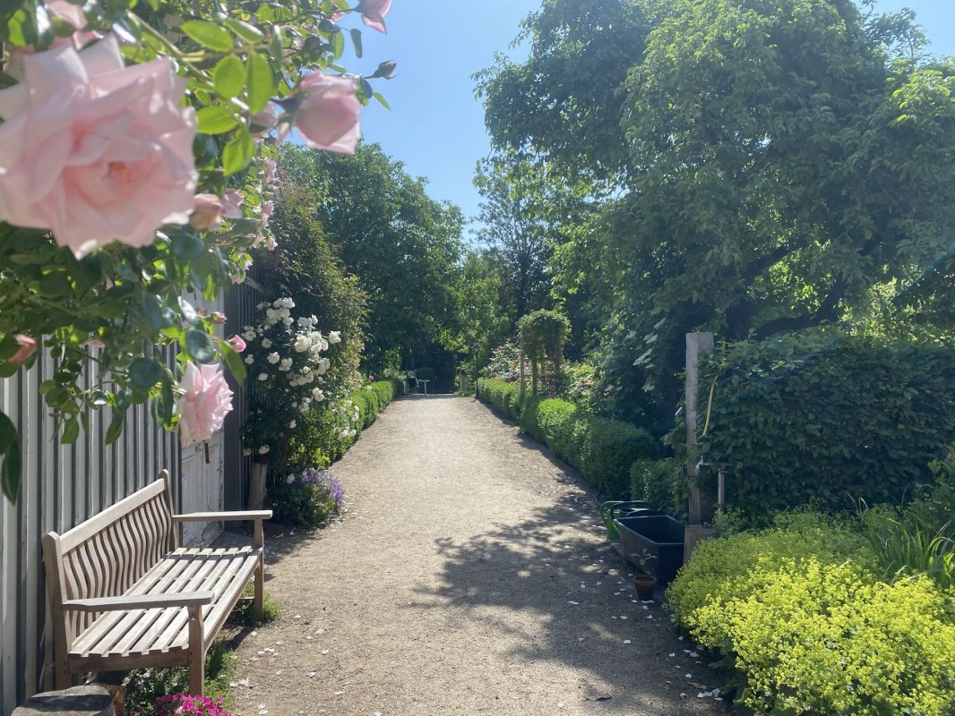 De kloostertuin opent zijn deuren weer in juni voor alle geïnteresseerde tuinliefhebbers. // © Kloster Saunstorf De kloostertuin opent zijn deuren weer in juni voor alle geïnteresseerde tuinliefhebbers. // © Kloster Saunstorf