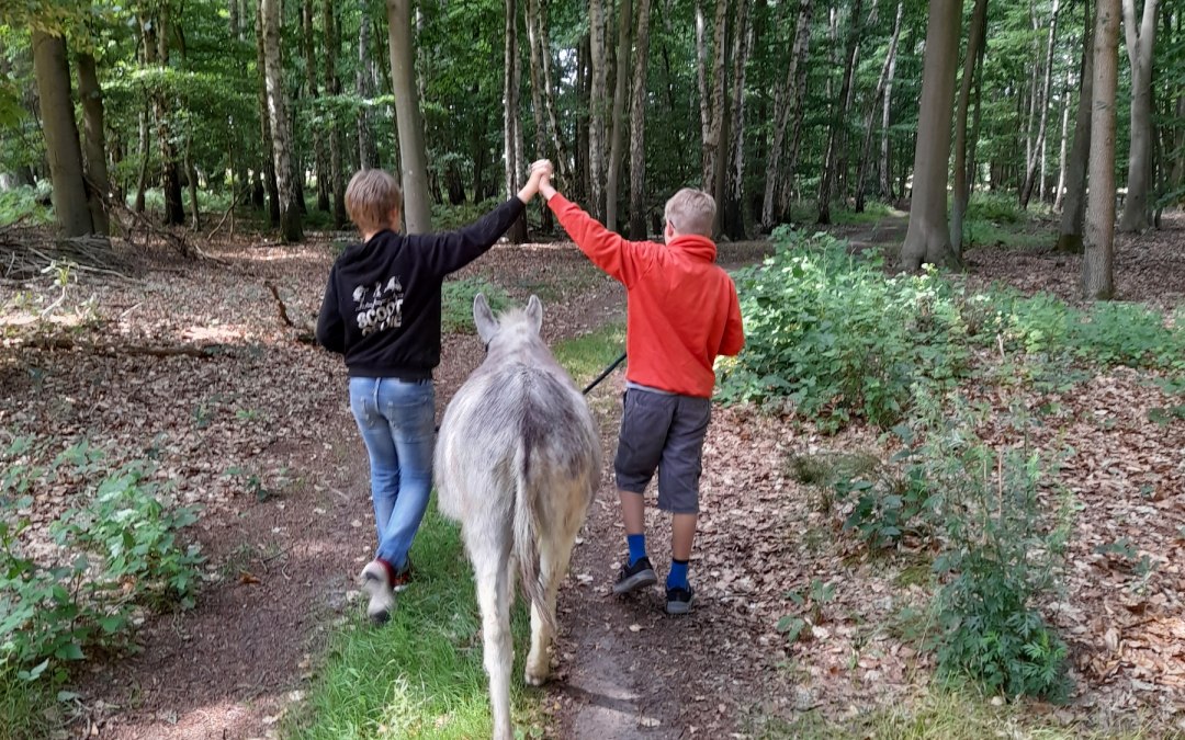 A walk at a leisurely donkey pace can be a great experience for the whole family. Donkeys are level-headed and sensitive animals that like to go on walks with human company., © Andrea Hauser