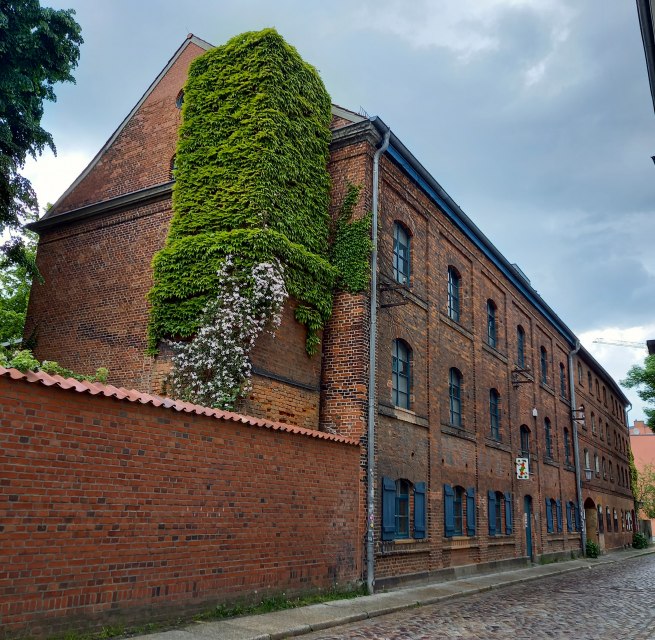 SPEICHER_House for: Culture, © SPEICHER SPEICHER_House for: Culture, © SPEICHER