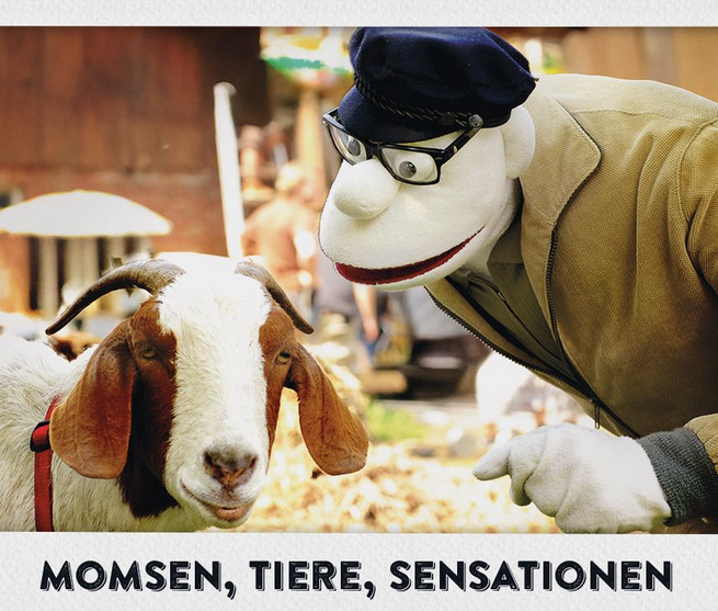 © DasStudioZwei © DasStudioZwei